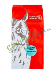 Кофе Owl в зернах Sumatra Gayo Mountain 1 кг