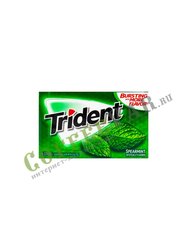 Жевательная резинка Trident Spearmint Мята