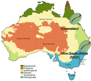 Регионы произрастания и производства австралийского кофе